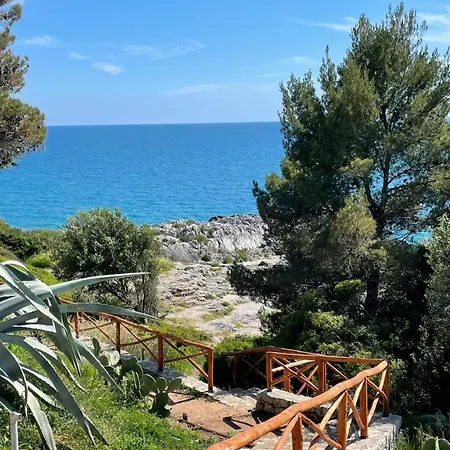 Piccolo Camerota